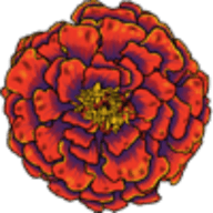 Logo Marigold Capital Inc