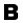 Logo Black Opal LLC