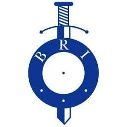 Logo BRI Group Ltd.