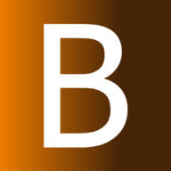 Logo BAWSO Ltd.