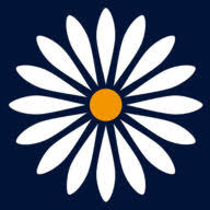 Logo Daisy Updata Communications Ltd.