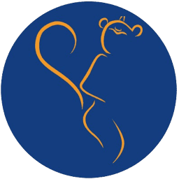 Logo PT Hanoman Cendekia Interaktif