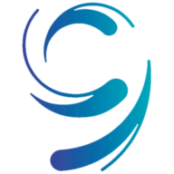 Logo Ninth Wave, Inc.
