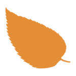 Logo Boningale Ltd.