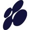 Logo Nexus Underwriting Ltd.