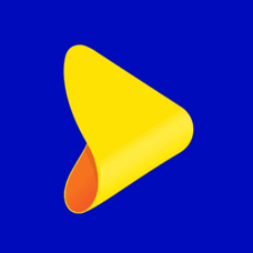 Logo Zype TV Ltd.
