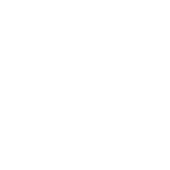 Logo Griffiths & Nielsen Ltd.