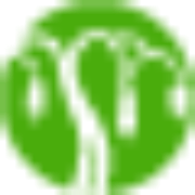Logo Derwentside Hospice Care Foundation