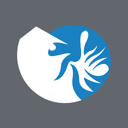 Logo An Cuong Wood-Working JSC