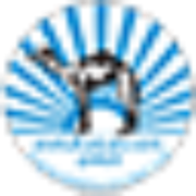 Logo Baniyas Sports & Cultural Club