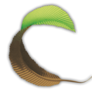 Logo Omar Group Holdings Ltd.