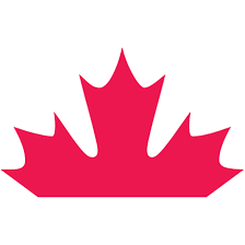 Logo FICANEX Services LP