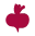 Logo Aducera Consulting AB