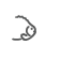 Logo Rensefiskgruppen AS