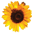 Logo Envirolab Ltd.
