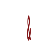 Logo Nangia & Co. LLP