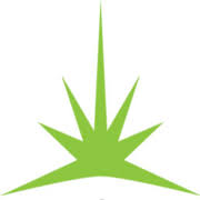 Logo LUMINOR Environmental, Inc.