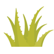 Logo Center for Entrepreneurial Innovation