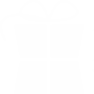 Logo Silver Eskimo Software
