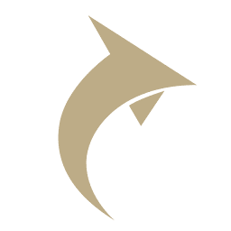 Logo Brand Capital International