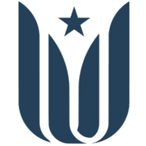 Logo CareIT Health LLC