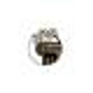 Logo Horseshoe Foundation of Floyd County, Inc.