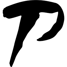 Logo Panagora Room AB
