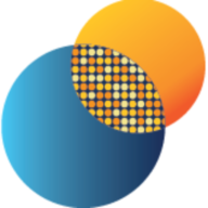 Logo The Seurat Group LLC