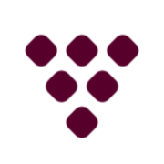 Logo Vitis Co., Ltd.