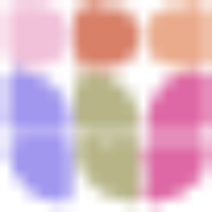 Logo Safenet Domestic Abuse & Support Services Ltd.