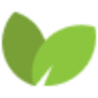 Logo Practical Dental Solutions LLC