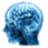 Logo Neuropsychiatric Hospitals LLC