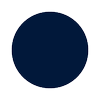 Logo Anatom Holding AG
