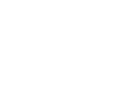 Logo Thinking North, Inc.