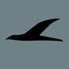 Logo Apex Tool Group SAS (France)
