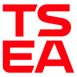 Logo Transformadores e Serviços de Energia das Américas SA