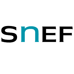 Logo Groupe Snef SA