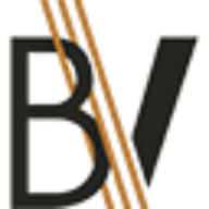 Logo Bronze Valley /Venture Capital/