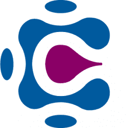 Logo Center for Technological Business & Social Innovation