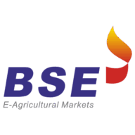 Logo BSE E-Agricultural Markets Ltd.