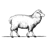 Logo Cripps Hazel Gap Ltd.