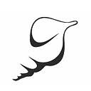 Logo Ivory Group Ltd.