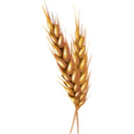 Logo Mcdonald Pelz Global Commodities LLC