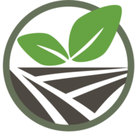 Logo Veransa Group, Inc.
