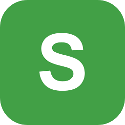 Logo Securter Systems, Inc.