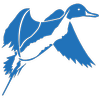Logo Pintail Midstream LLC