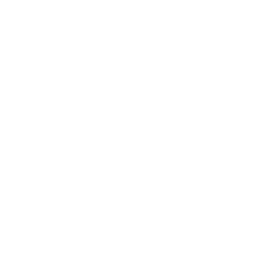 Logo WMH Project SAS