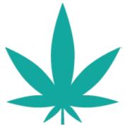 Logo AceCann LDA