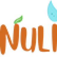 Logo Nulixir, Inc.