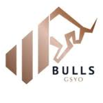 Logo Bulls Girisim Sermayesi Yatirim Ortakligi AS